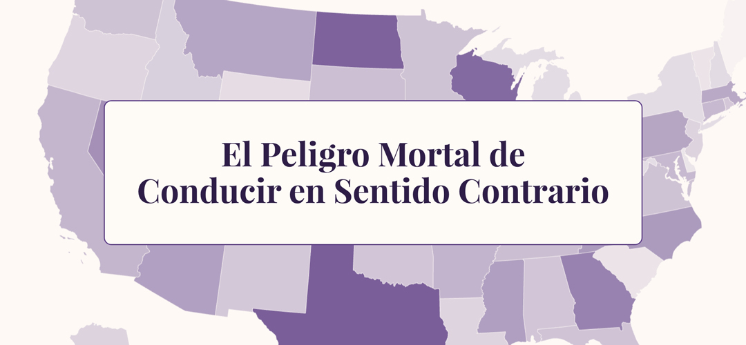 El peligro mortal de conducir en sentido contrario